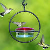 Metal Hanging Hummingbird Feeder with Glass Bottle