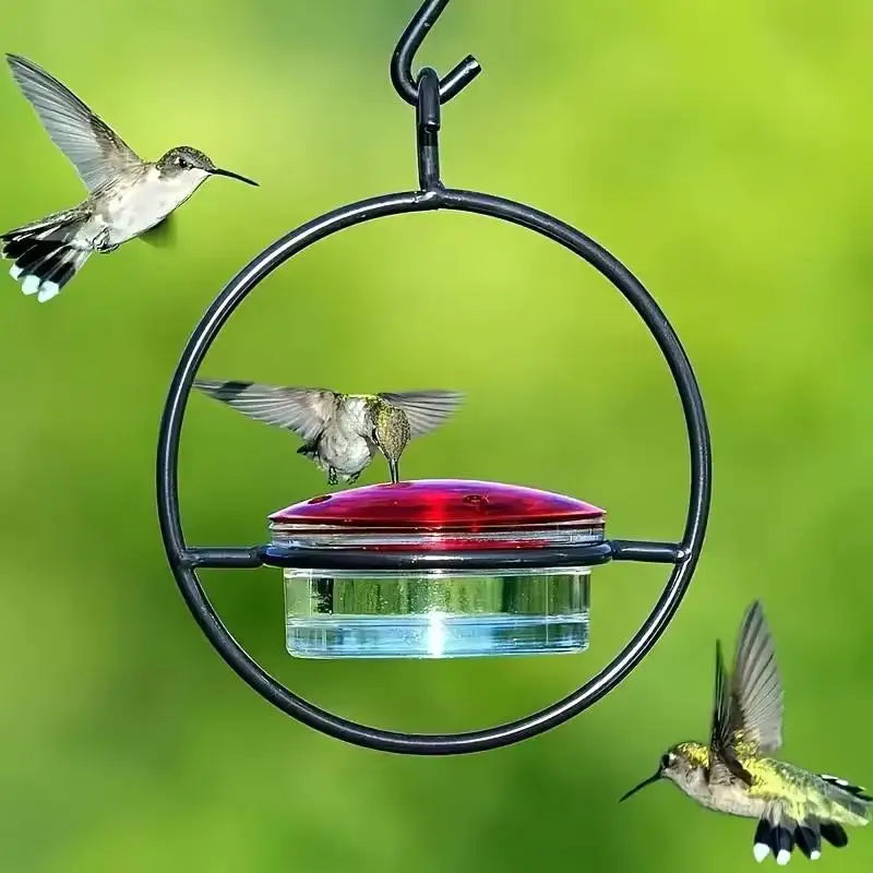Metal Hanging Hummingbird Feeder with Glass Bottle