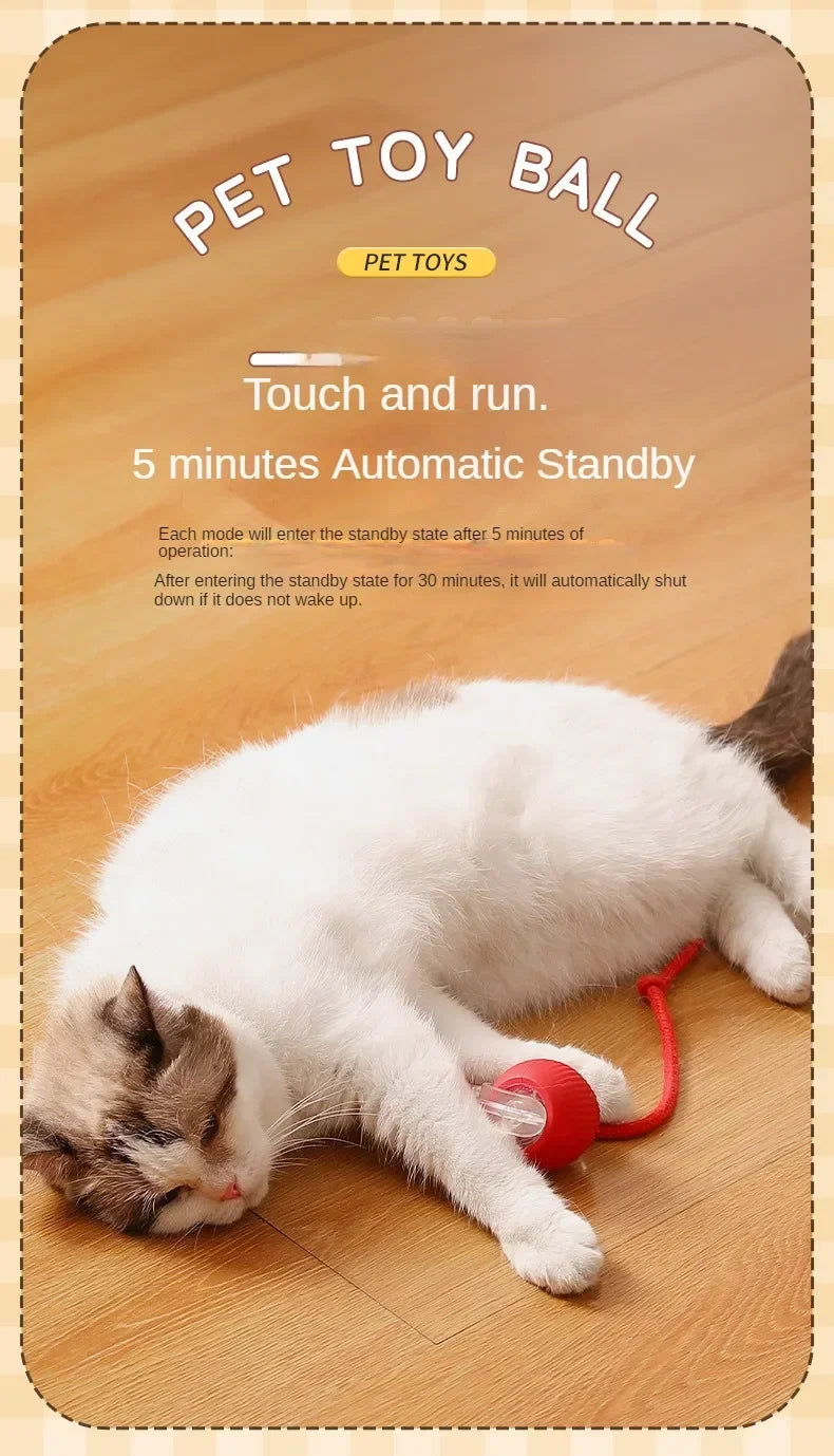 Interactive Automatic Rolling Cat Toy with Tail