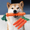 Durable Braided Rope Dog Toy