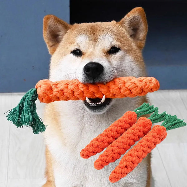 A light brown and white dog holds a braided orange rope toy with green tassels.