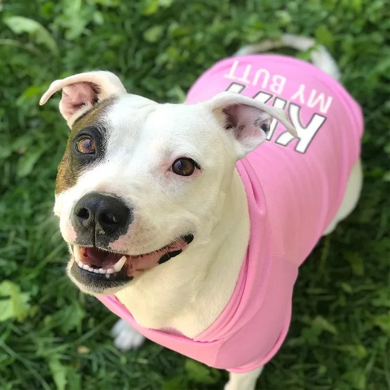 Un chien blanc portant un sweat rose avec du texte noir dans un cadre extérieur herbeux.