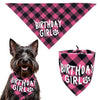 Pink and black plaid birthday girl bandana and hat for a dog party