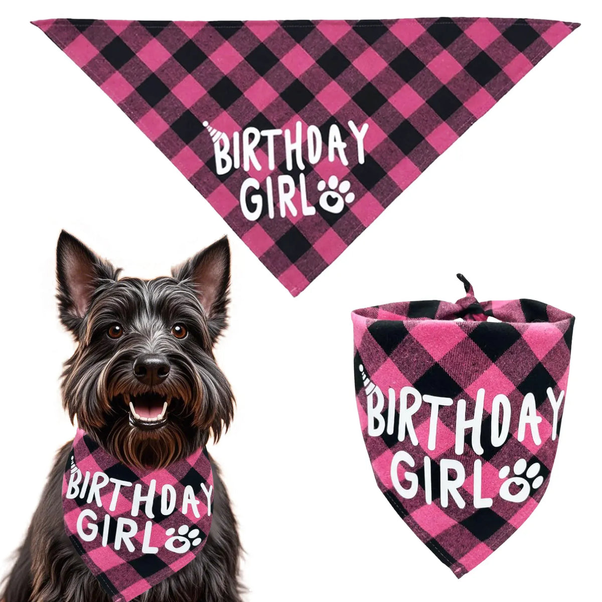 Pink and black plaid birthday girl bandana and hat for a dog party