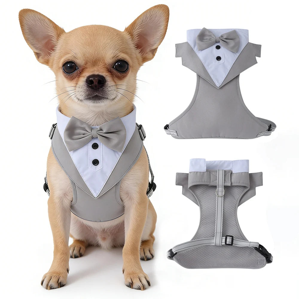 Dog Tuxedo with Bowtie for Weddings and Special Occasions