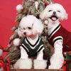 Classic V-Neck Knit Pet Sweater for Small Dogs & Cats