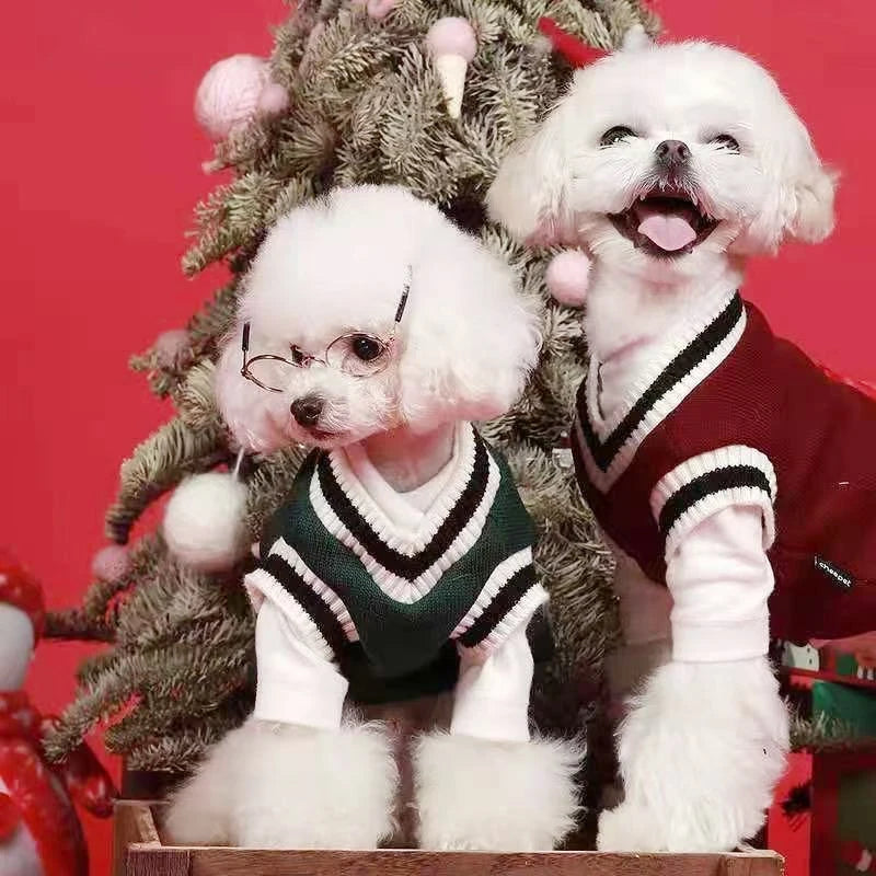 Classic V-Neck Knit Pet Sweater for Small Dogs & Cats