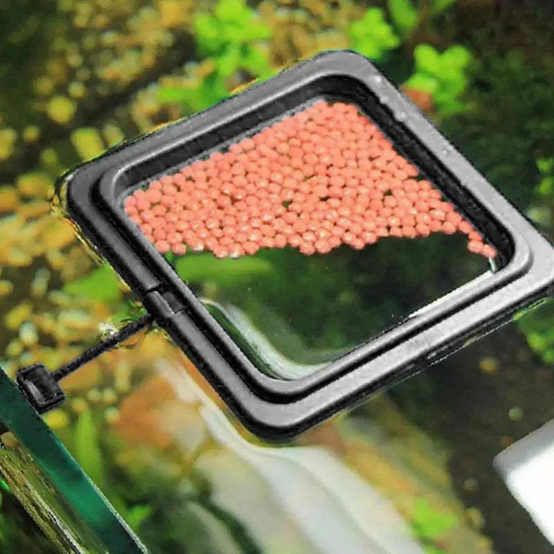 Anneau d'alimentation pour aquarium avec ventouse