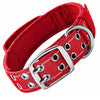 A red tactical dog collar with a silver buckle and metal ring, shown on a wrist.