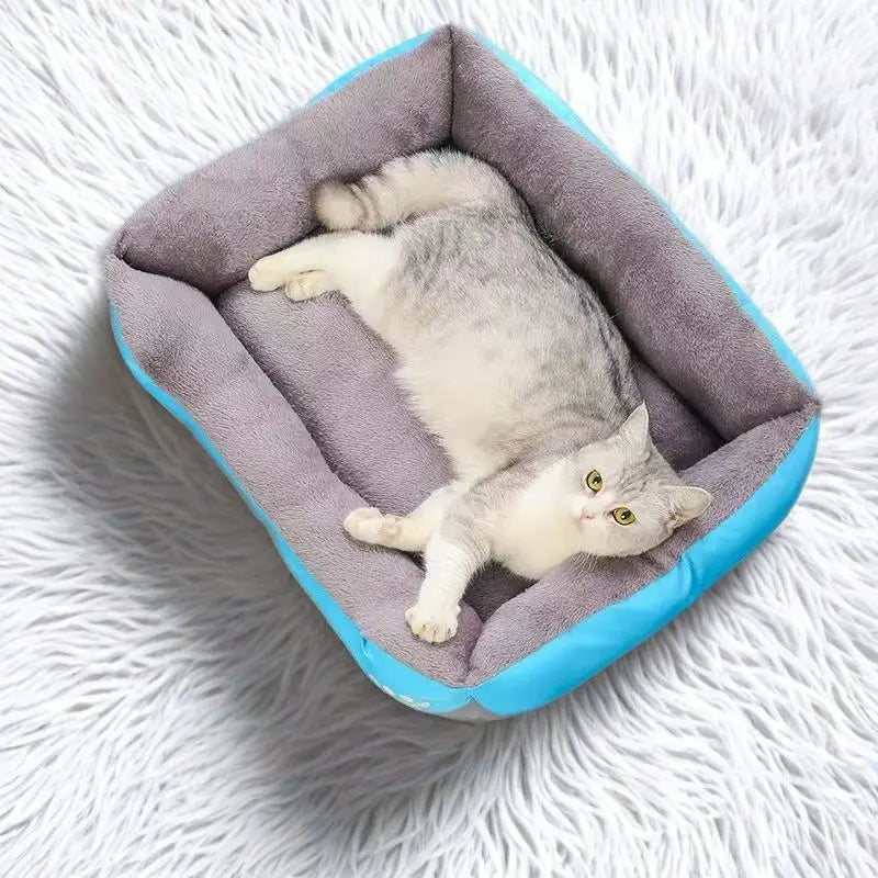 A fluffy gray and white kitten is resting inside a soft, light blue pet bed on a white furry surface.