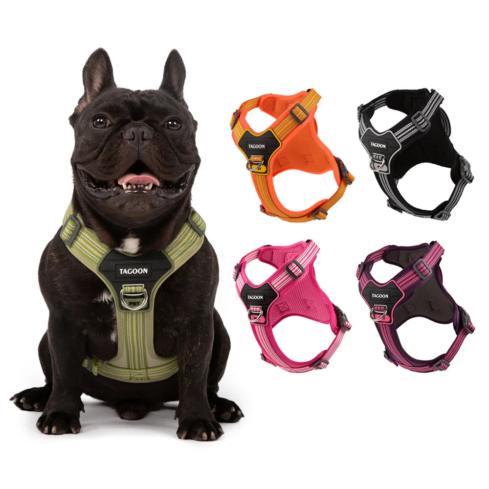 A black dog wearing a harness and several orange, black, and pink no-pull dog harnesses are displayed.