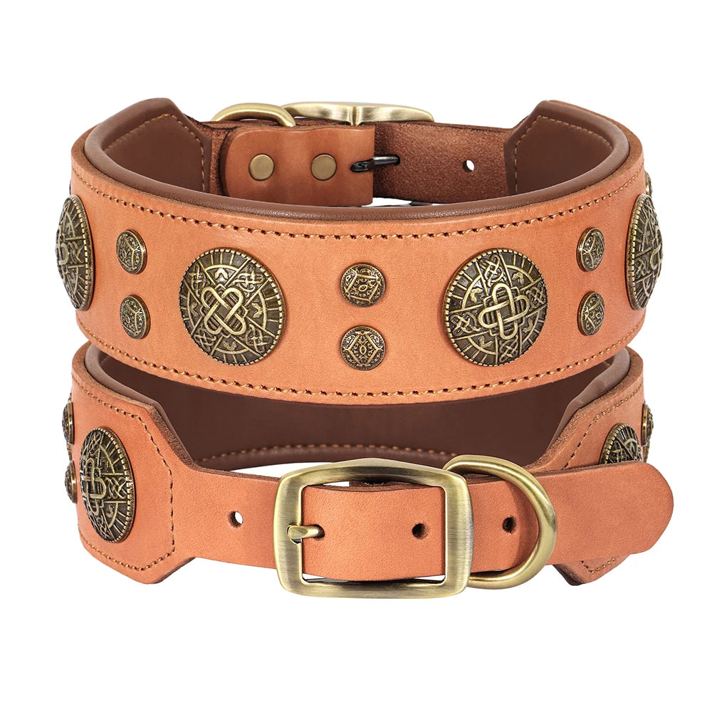 A brown leather dog collar with gold hardware and studded accents.
