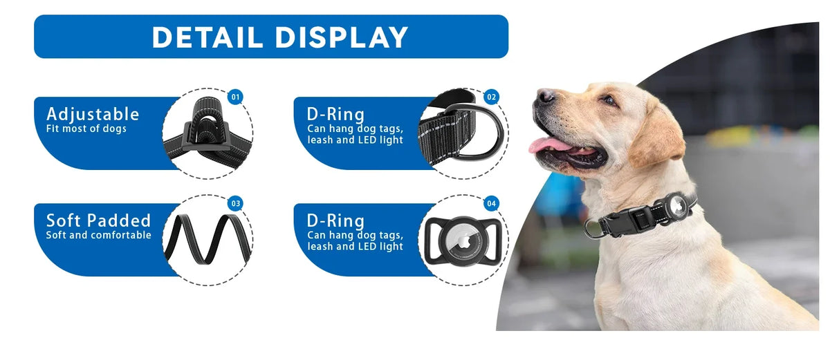 A golden retriever wearing a black dog collar with reflective strips and a safety buckle.