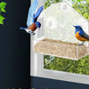 Acrylic Window Bird Feeder with Suction Cup