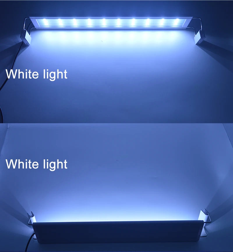 Lampe LED à clipser pour aquarium, fine et élégante