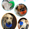 Jouet à mâcher qui grince pour chien, durable