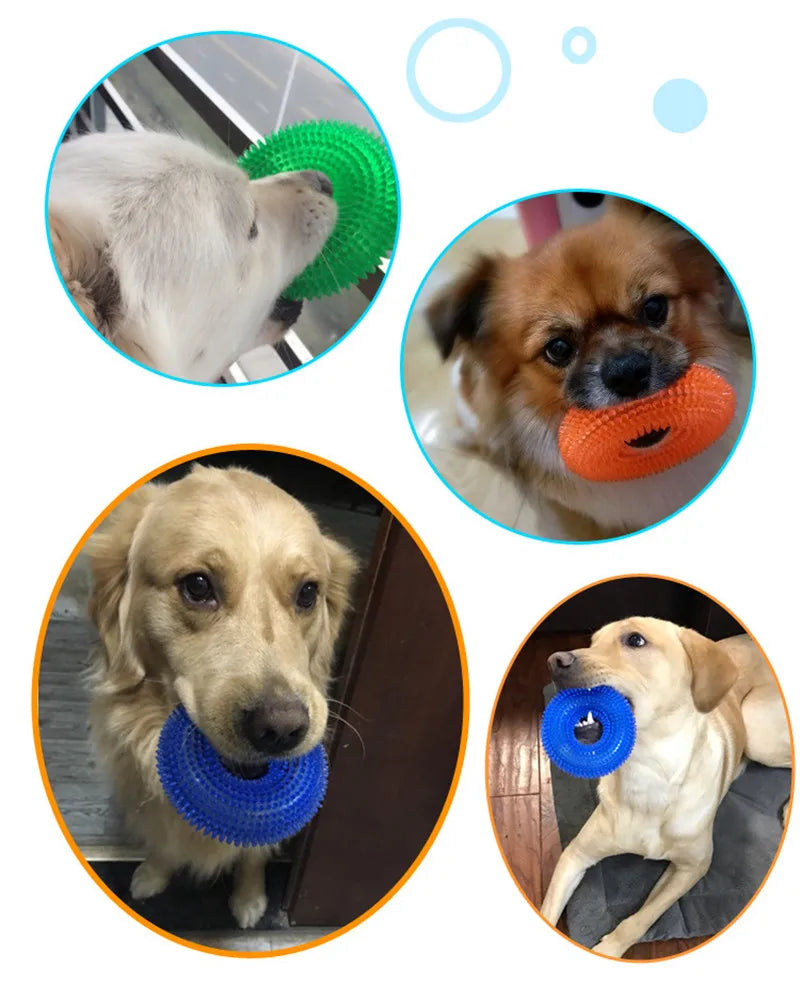 Jouet à mâcher qui grince pour chien, durable