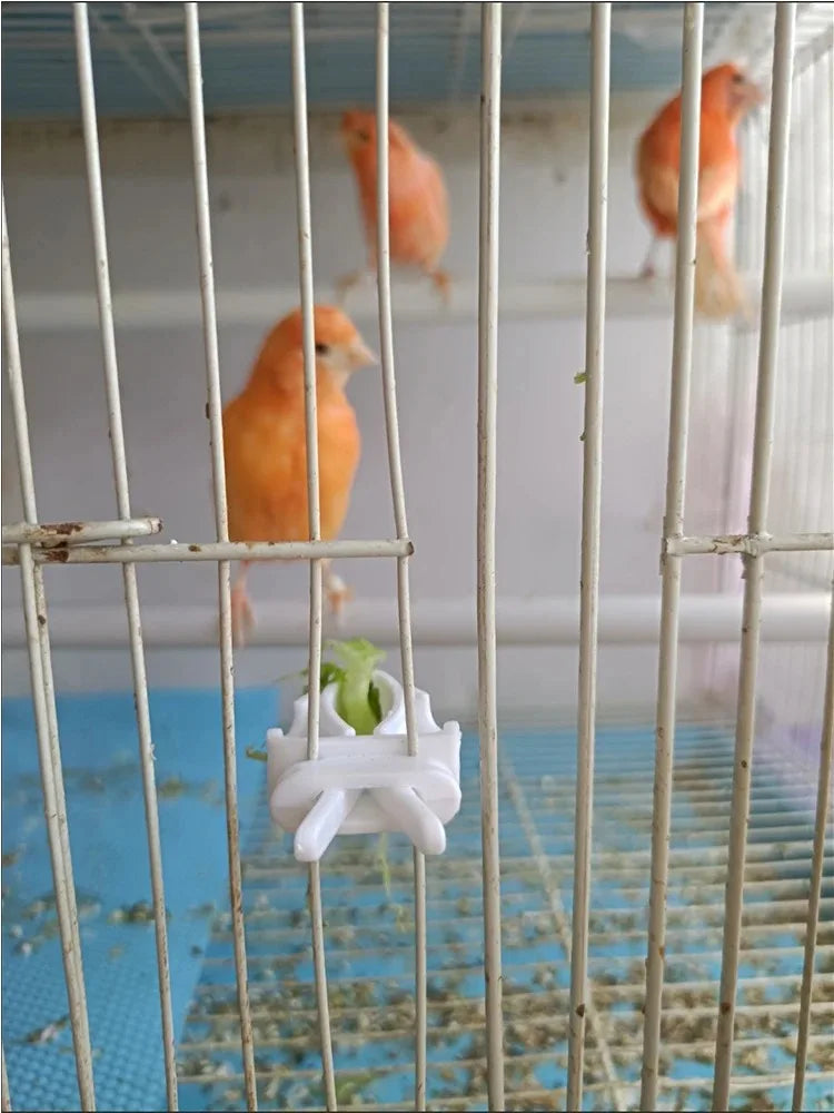 مشبك حافظة طعام للطيور الصغيرة والببغاوات