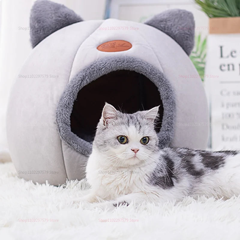 Un chat gris et blanc duveteux est assis dans un nid de chat moelleux et rond avec de grandes oreilles.