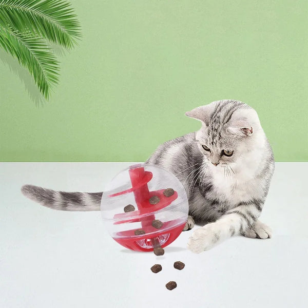 Jouet en spirale interactif pour chat avec distributeur de friandises