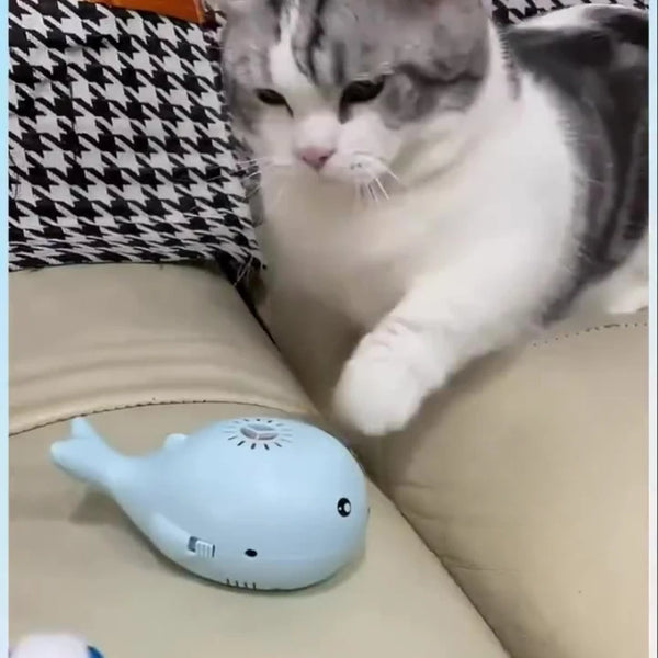 Interaktives USB-Katzenspielzeug mit schwebendem Ball & Lüfter