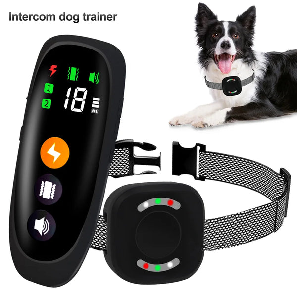 A black dog training collar and remote control are shown next to a dog wearing the collar.