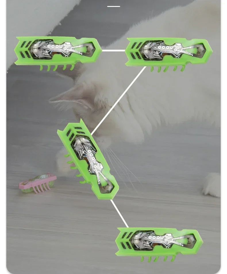 Electric Catnip Bug Toy for Cats