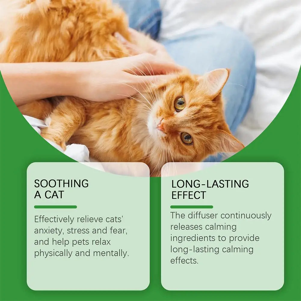 Un gato naranja peludo es acariciado suavemente por una mano humana, con texto que describe el efecto calmante y duradero de 