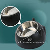 Ergonomic Elevated Cat Bowl with Inclined Stainless Steel Design