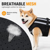 Dog Rear Leg Support Harness with Padded Lift Handle and Reflective Strips