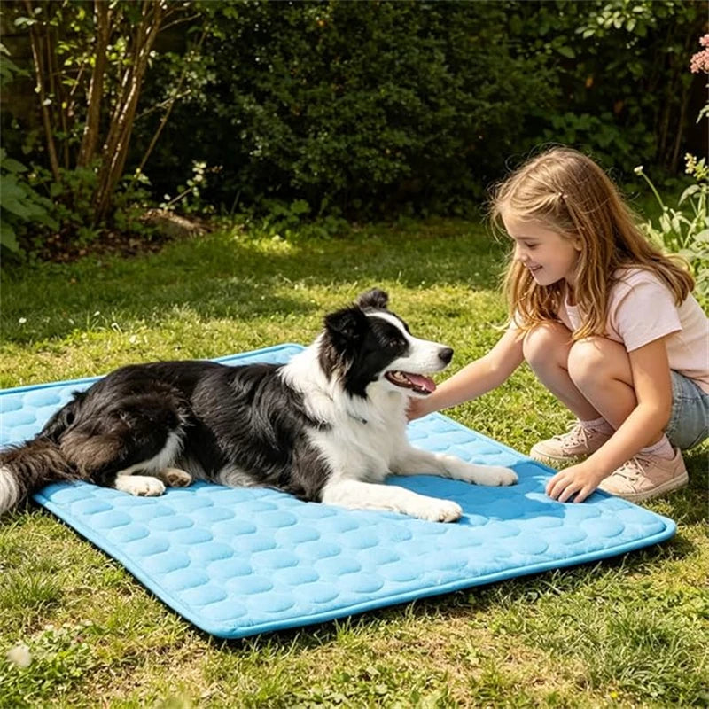 A young girl is interacting with a black and white dog lying on a blue instant cooling pet mat outdoors.