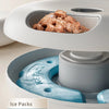 Dispensador automático de comida para mascotas con 6 compartimentos y packs de hielo