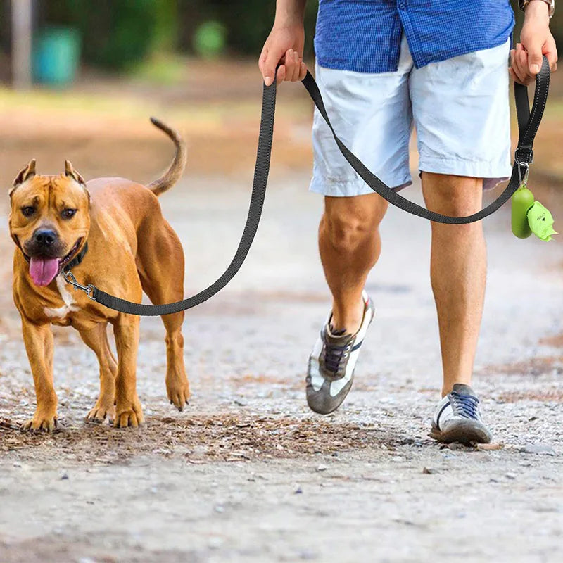 Reflective Dog Harness Collar and Leash Set (1.2-1.8m)
