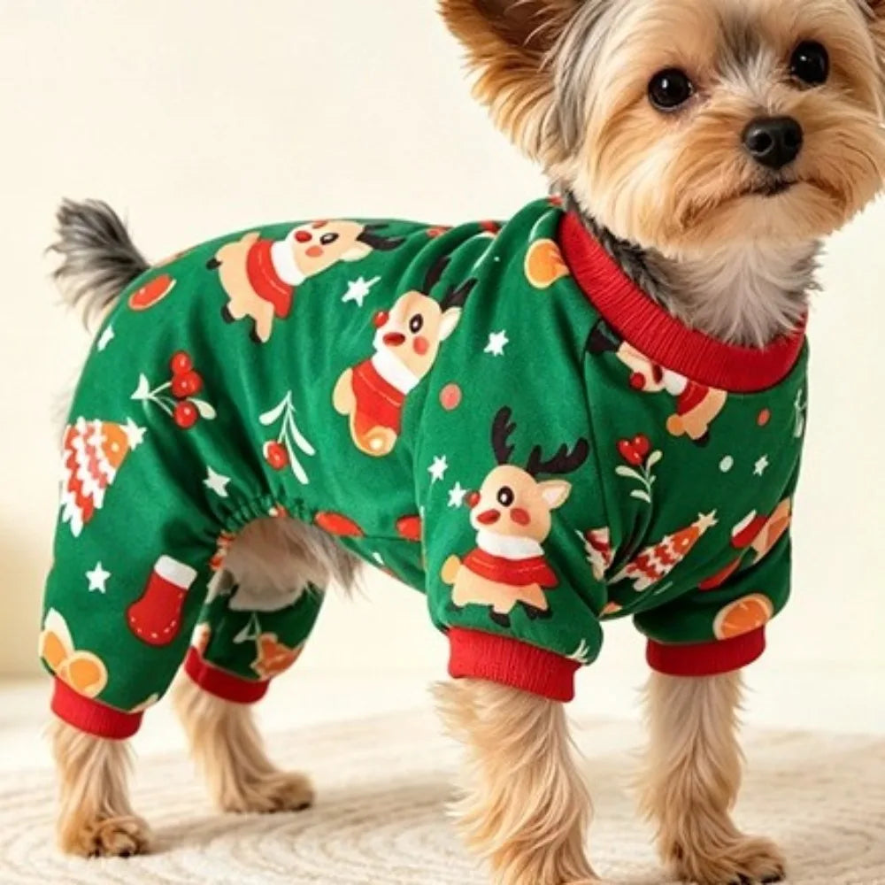 A small dog wearing a green fleece coat with a Santa Claus print and red trim.