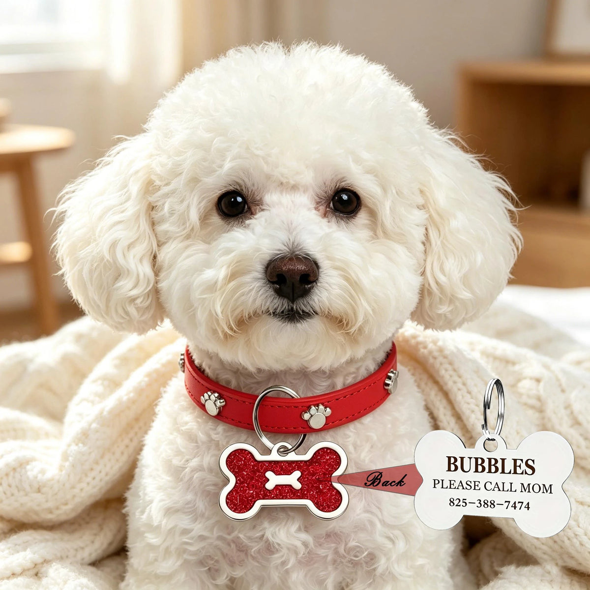 A fluffy white dog wearing a red collar with a bone-shaped tag and paw print charm.