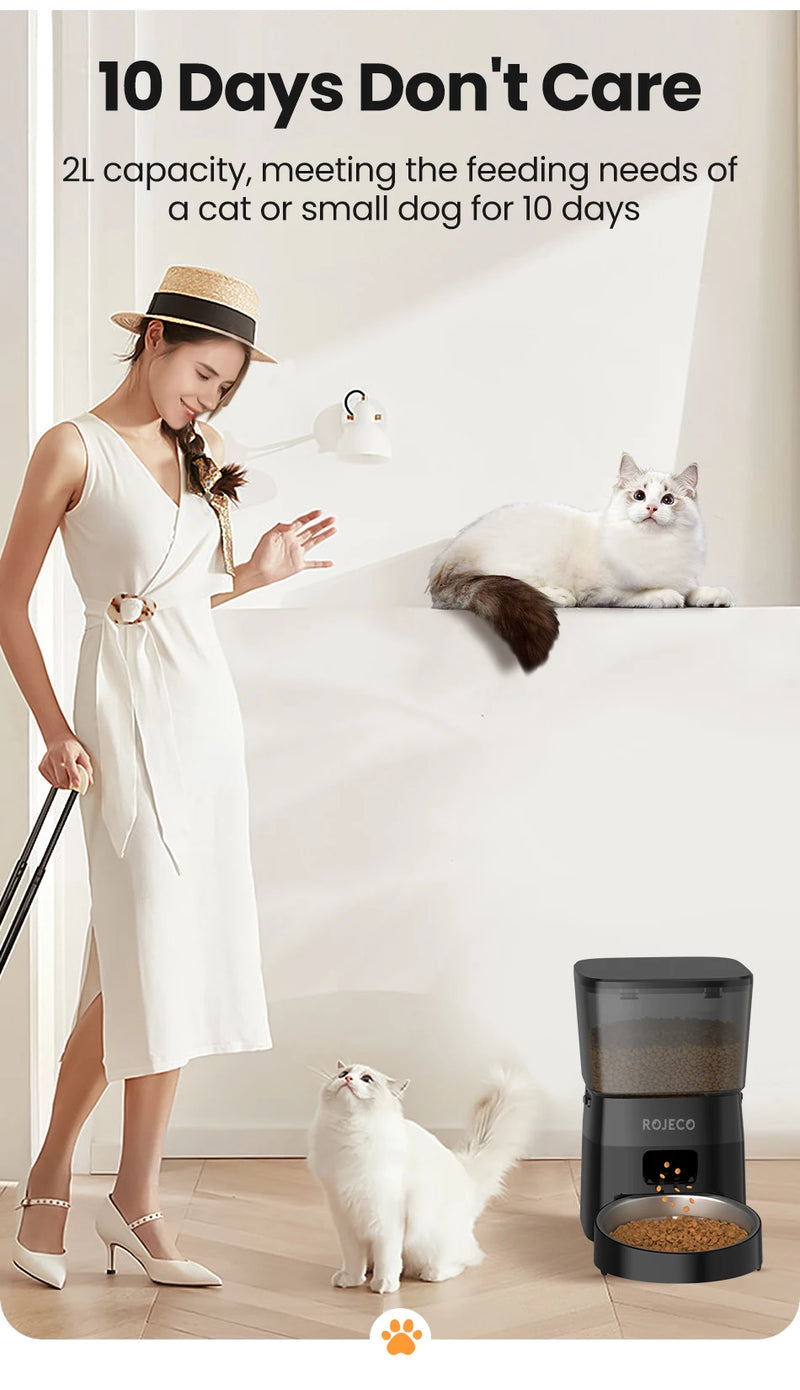 Distributeur de nourriture automatique pour animaux avec commande par bouton