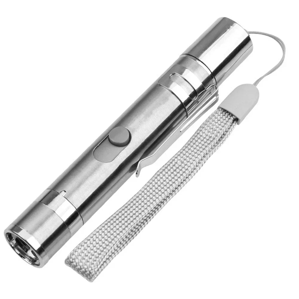 Rechargeable LED Cat Laser Pointer with Multiple Modes