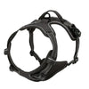 Hundegeschirr-Set aus Leder: Halsband, Geschirr & Leine