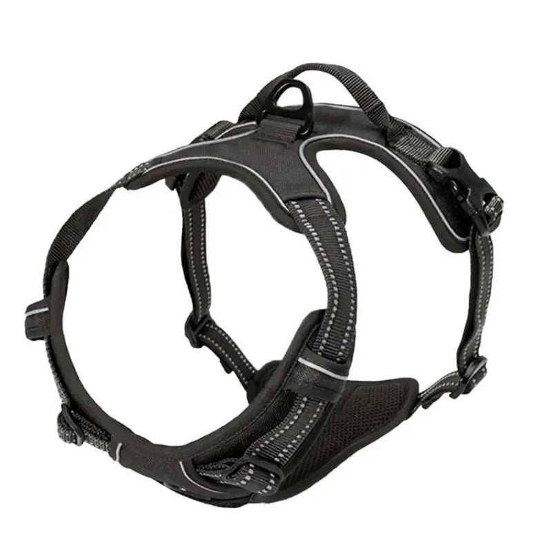 Hundegeschirr-Set aus Leder: Halsband, Geschirr & Leine