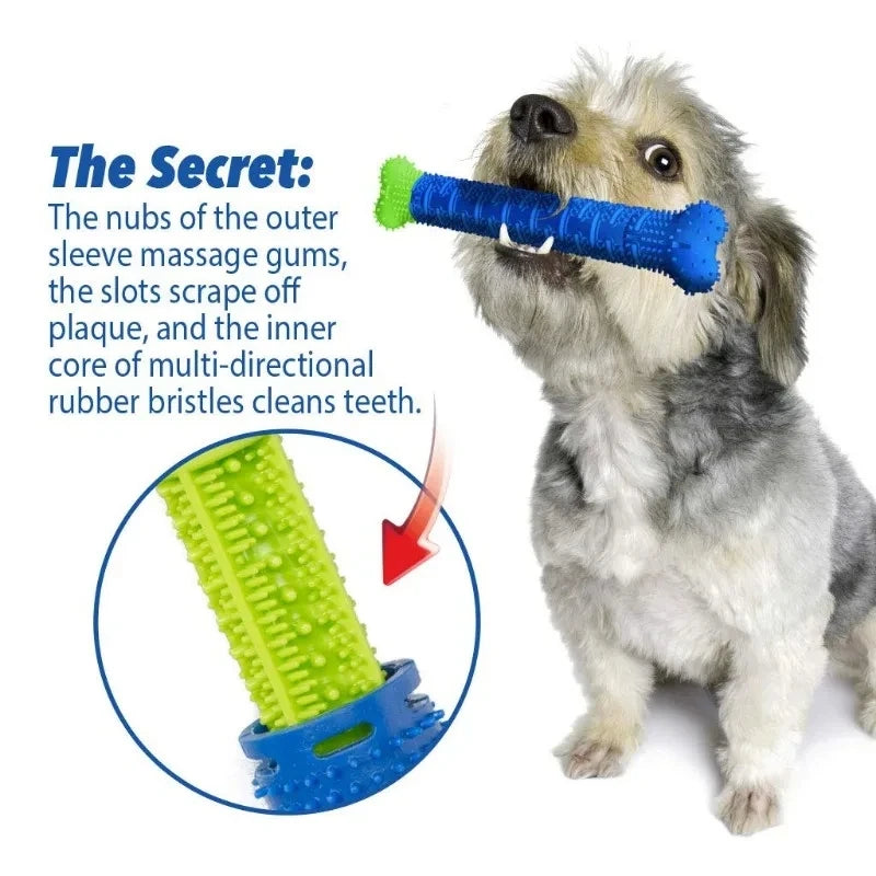 A dog is holding a blue dental chew bone with green rubber cleaning bristles, demonstrating its use for teeth cleaning.