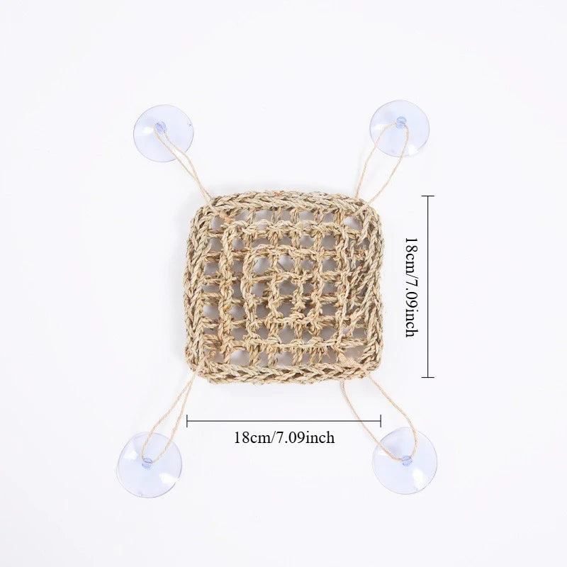 Natural Seaweed Reptile Hammock with Suction Cups