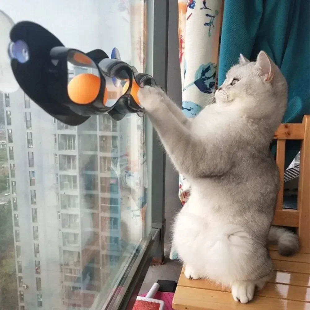 Un chat gris joue avec un jouet de piste incurvé noir avec des ventouses oranges près d'une fenêtre.