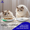 Two fluffy white and ginger cats sitting near ceramic food bowls on a white surface.