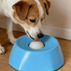 Un perro interactuando con un cuenco de alimentación lenta azul para comida de mascotas.