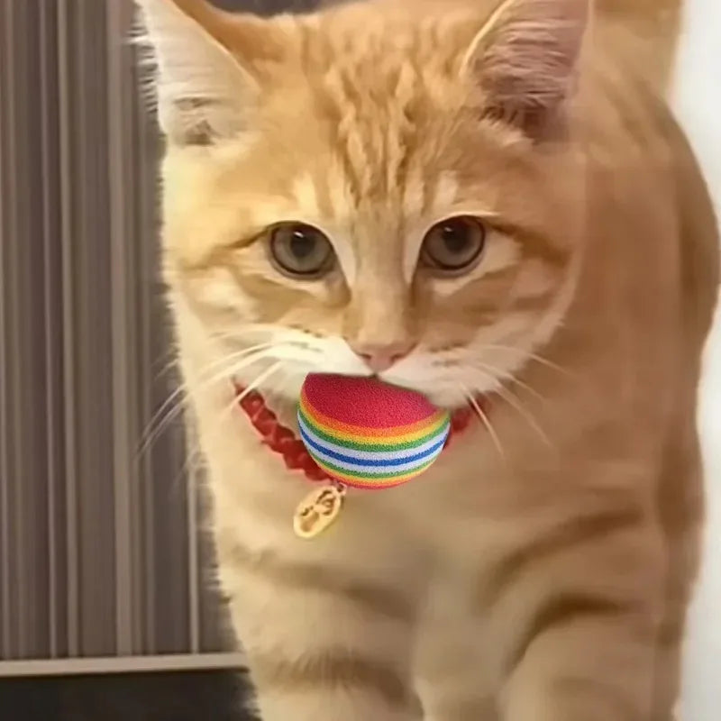 An orange tabby cat wearing a colorful rainbow rattle collar.