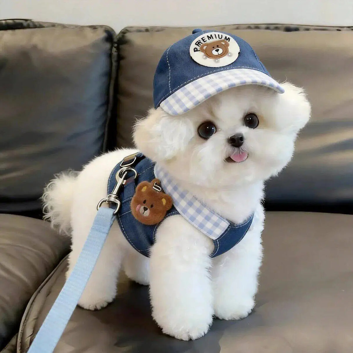 Cartoon Dog Harness Vest with Matching Leash