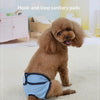 Reusable Dog Diapers for Heat Cycles and Incontinence