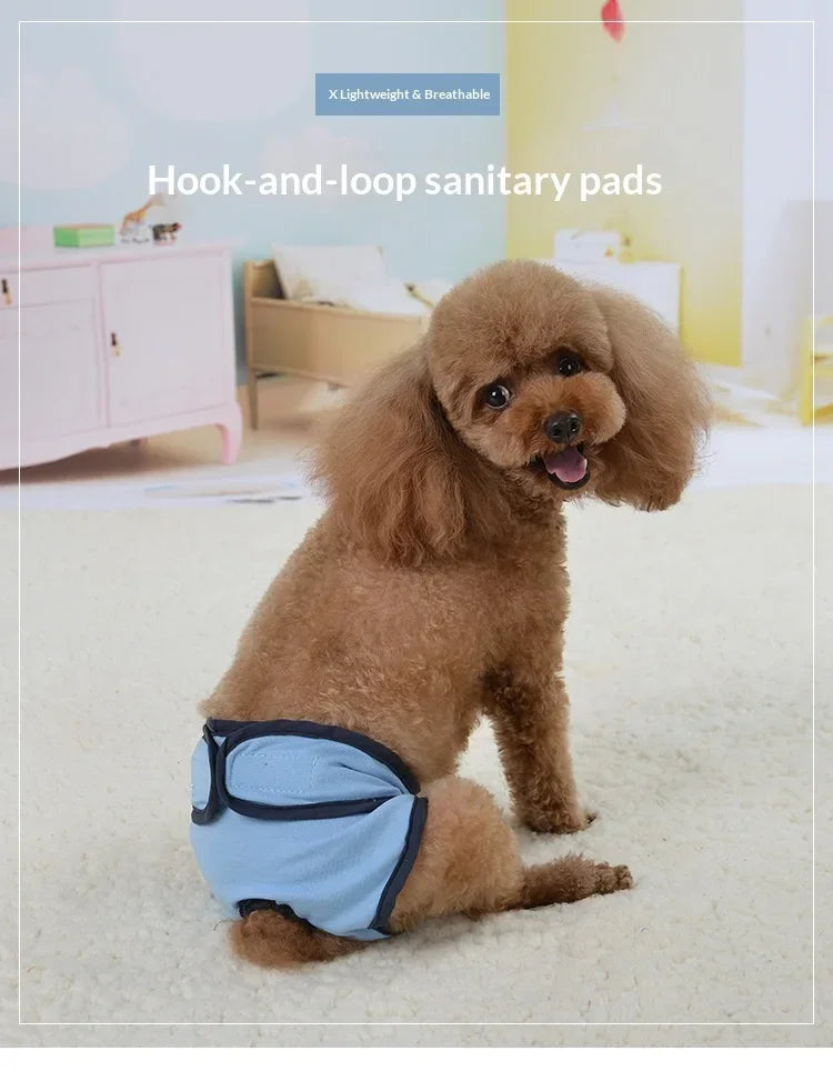 Reusable Dog Diapers for Heat Cycles and Incontinence