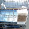 Comedero automático para aves con diseño a prueba de salpicaduras