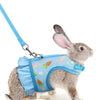 Adjustable Mesh Harness with Leash for Small Pets